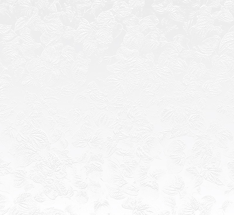 White textured background with leaf patterns.