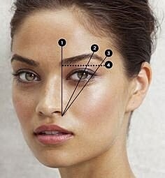 The full eyebrow is back in style!